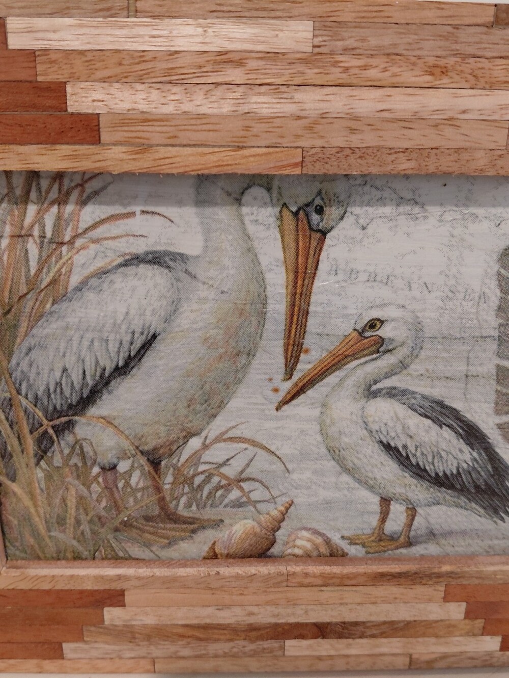 Coastal Pelican Wall Art Print - White & Brown